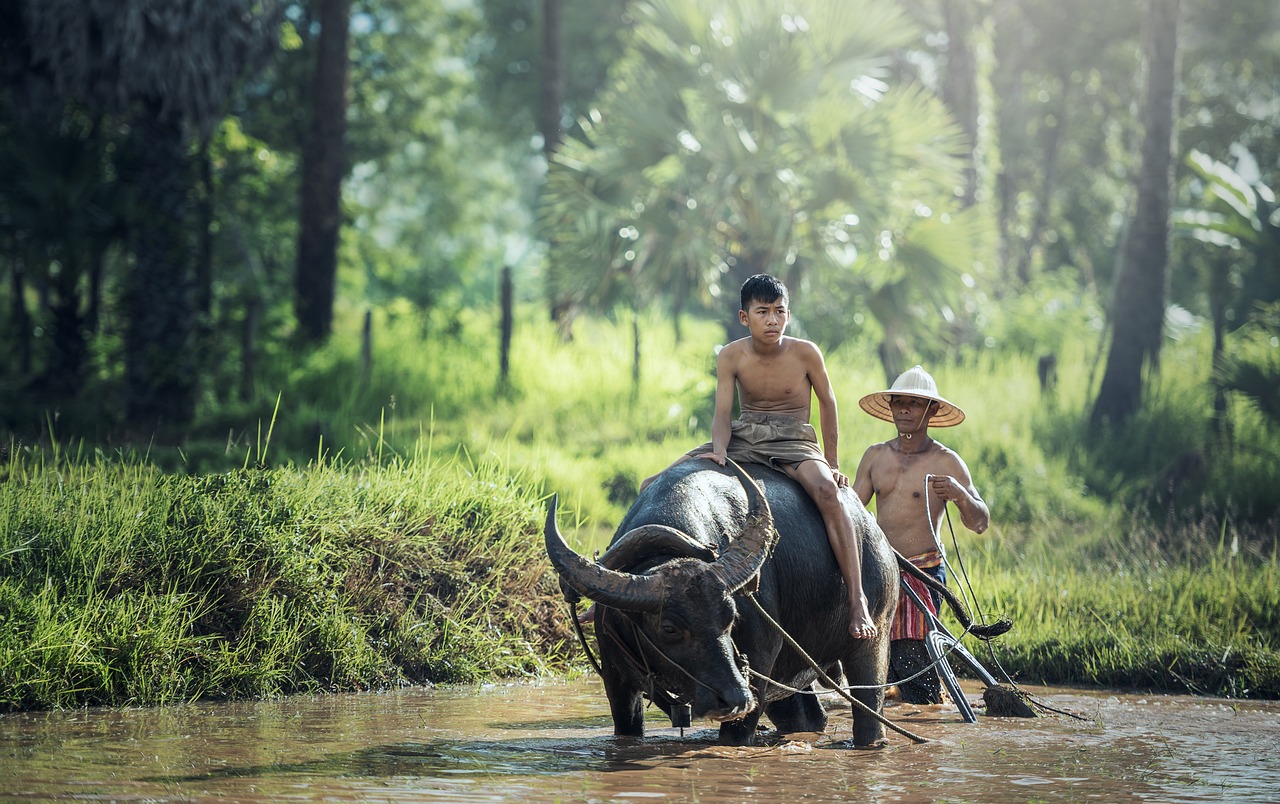 ¿Cuál es la mejor epoca para viajar a Indonesia?
