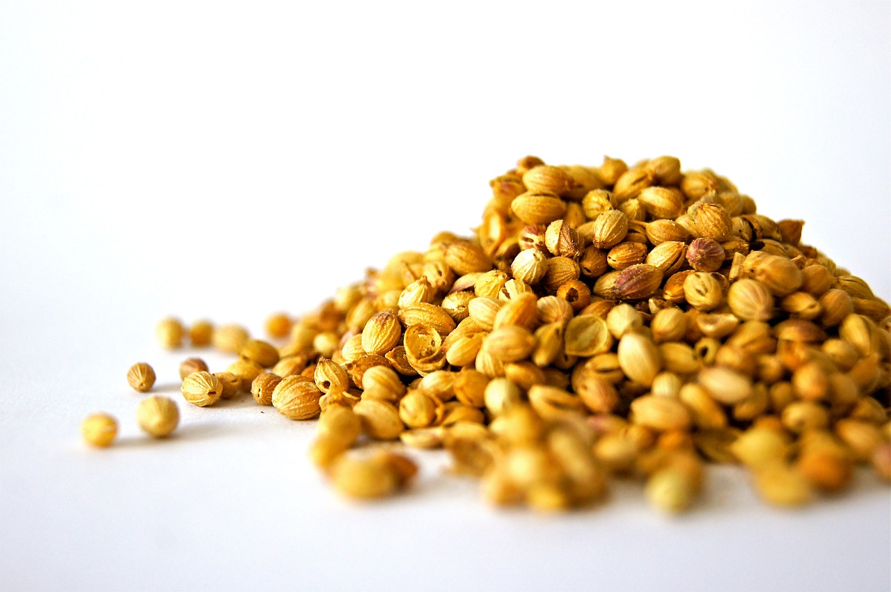 ¿Qué es la cardamomo y para qué sirve?